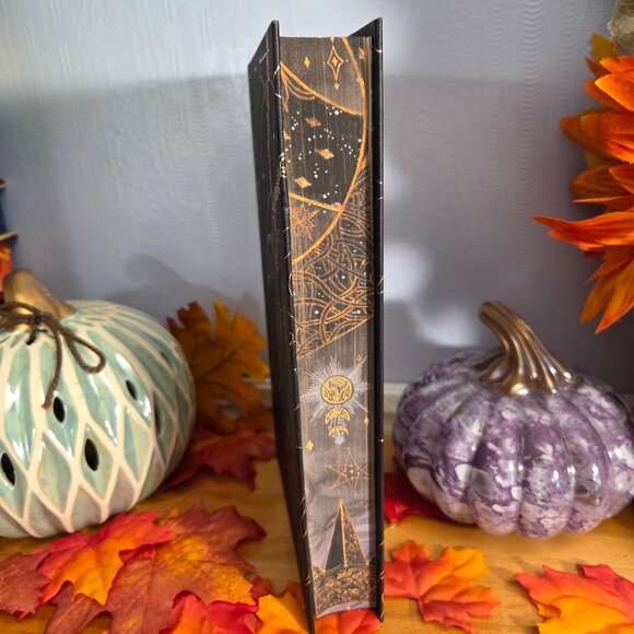 Fallen City by Adrienne Young Fairyloot November 2025 Fated to Fall - Picture 4 of 10